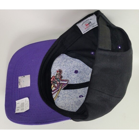 Akron Aeros Adjustable Home Replica Hat Cap Minor League Baseball Bimm Ridder - Picture 8 of 11